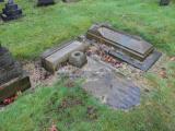 image of grave number 556393